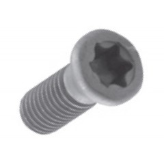 Śruba Torx M5x10 Varel