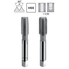 Hand Tapping NGSy Pg-36 DIN 40430/2 HSS.